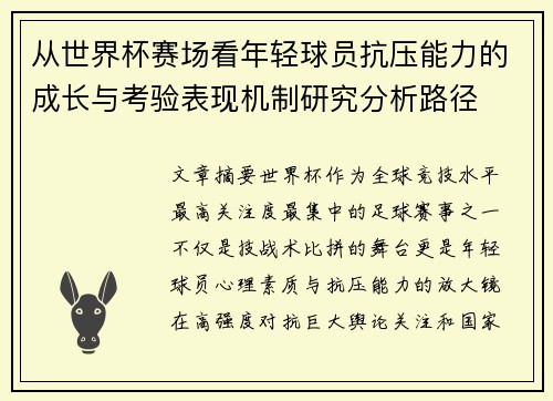 从世界杯赛场看年轻球员抗压能力的成长与考验表现机制研究分析路径