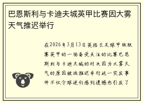 巴恩斯利与卡迪夫城英甲比赛因大雾天气推迟举行